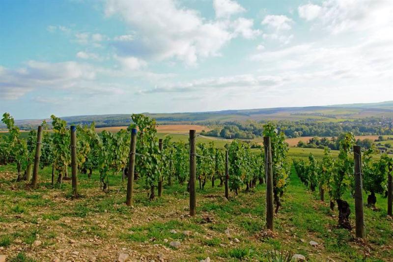 22 7 2016 11 50 48 23019425 M