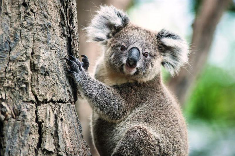 20 7 2016 8 55 48 Pa 03