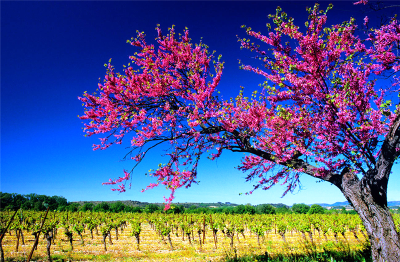 20 7 2016 11 36 20 Eu 02