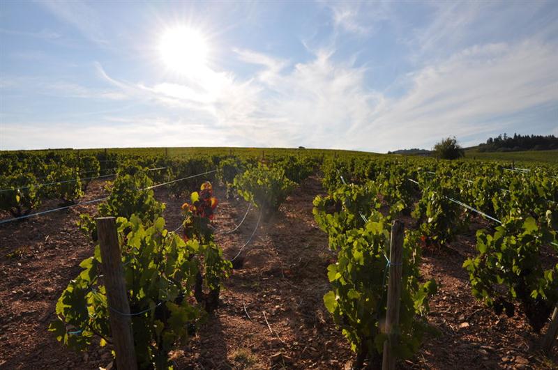 22 7 2016 12 20 24 44601295 M