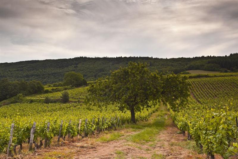 22 7 2016 12 34 05 16490178 M