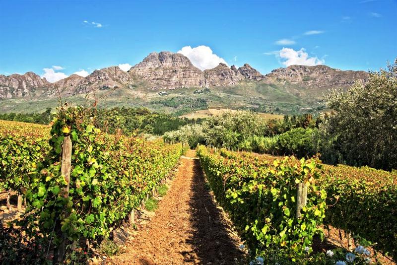 20 7 2016 9 16 45 Ma 03