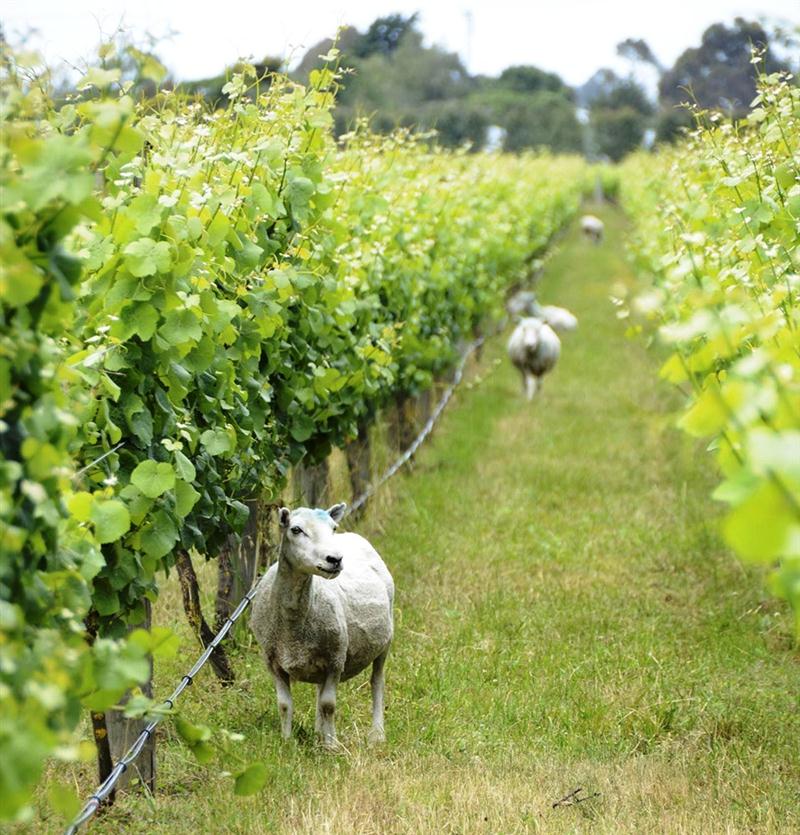 20 7 2016 9 03 22 0866 12