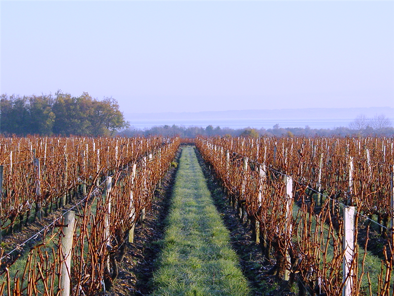 22 7 2016 10 41 47 Ej 04