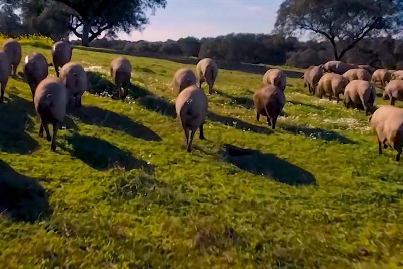 27 12 2022 17 07 14 23592 Liq 02