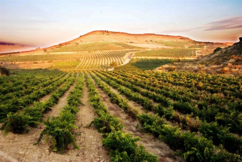 20 7 2016 15 44 15 Hh 01