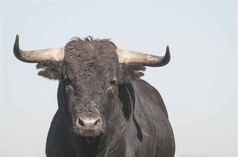 22 7 2016 14 49 41 Ha 02