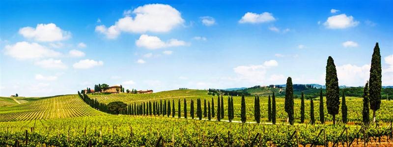 22 7 2016 14 42 12 19758902 M