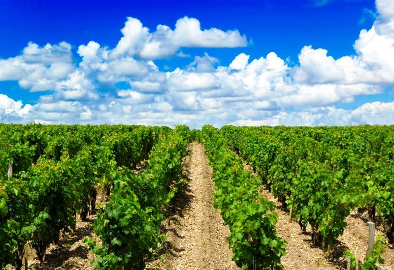 20 7 2016 11 55 56 Ew 01