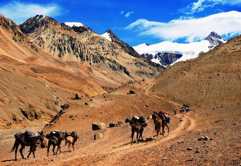 20 7 2016 8 51 23 Oa 02