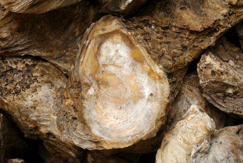 22 7 2016 11 50 53 23081606 M