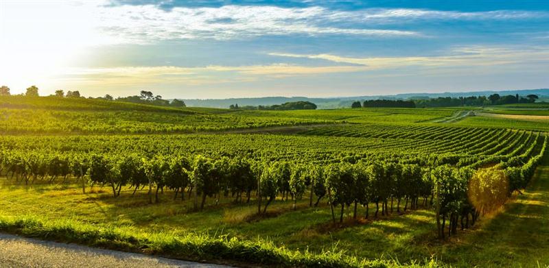 22 7 2016 13 02 00 44151543 M