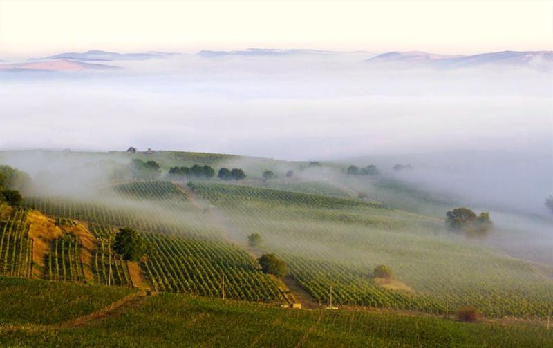 22 7 2016 11 34 38 53791208 M