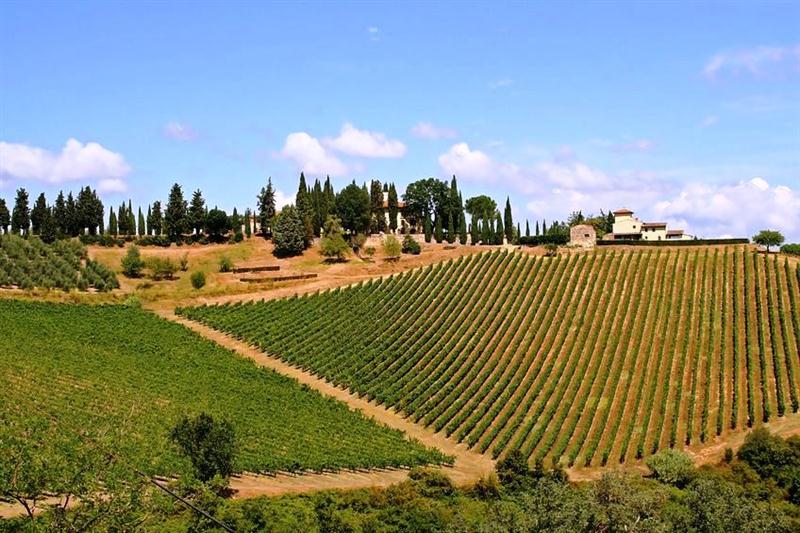 22 7 2016 14 43 00 5922310 M