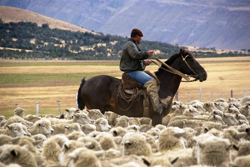 20 7 2016 8 45 24 Na 03