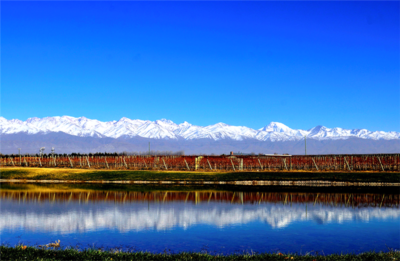 20 7 2016 8 50 36 Oa 01