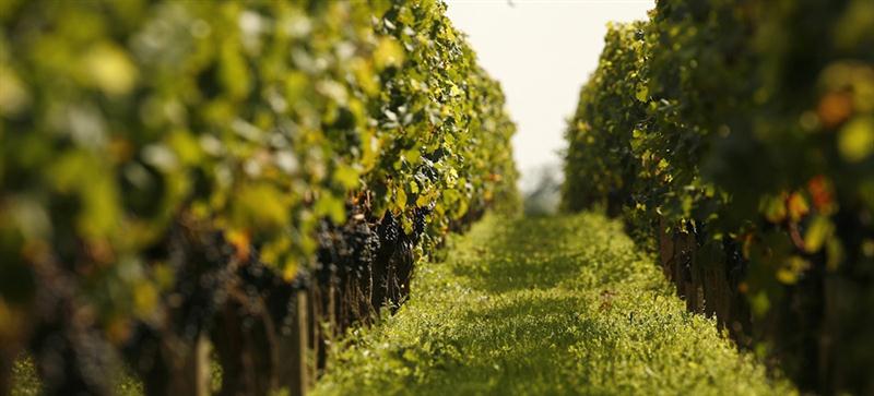 20 7 2016 14 06 09 Gk 03