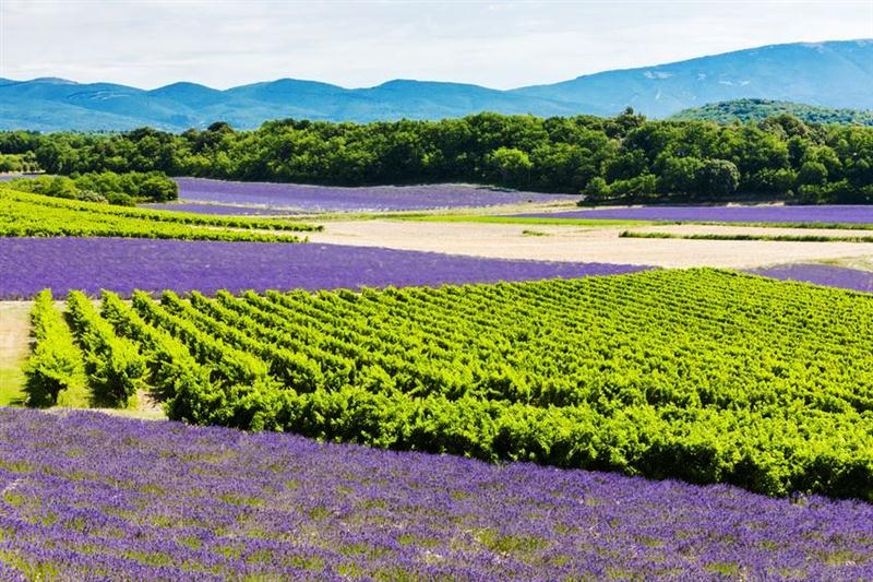 20 7 2016 11 45 09 Et 01