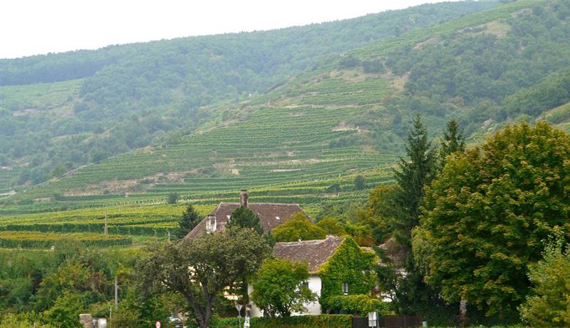 11 9 2019 12 45 07 04