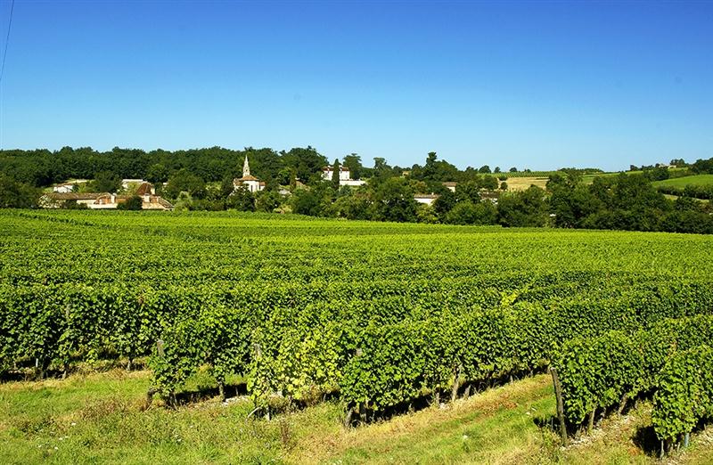 20 7 2016 10 44 24 1072 Vi 3