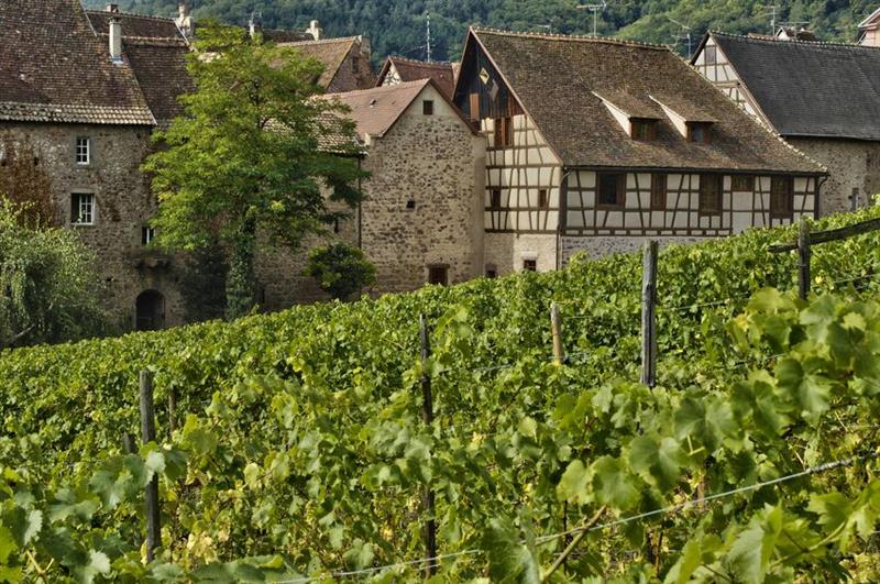 22 7 2016 8 40 11 Ec 04