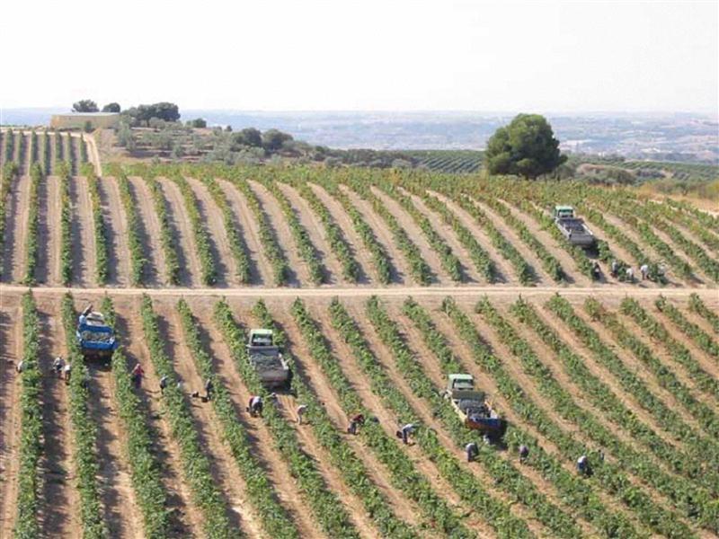 20 7 2016 15 03 31 Hf 01