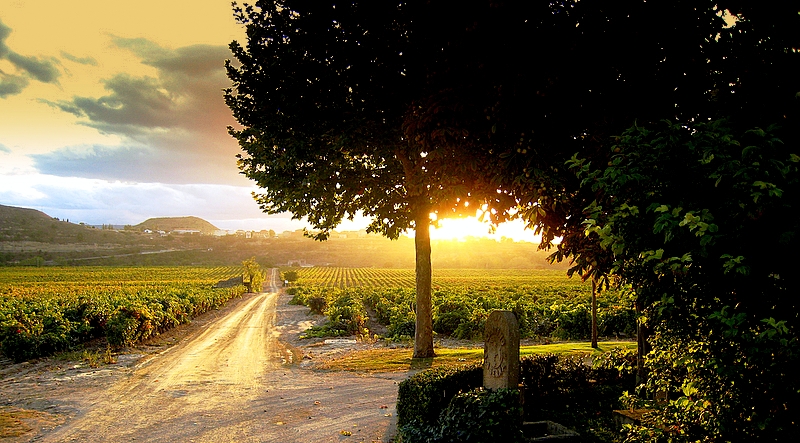 20 7 2016 15 34 07 Hh 03