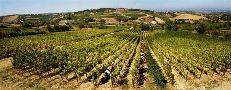 20 7 2016 12 20 54 Gj 01