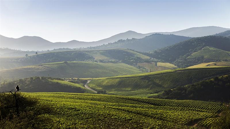 20 7 2016 8 41 39 Na 01