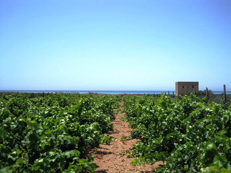 20 7 2016 14 37 50 Gv 01