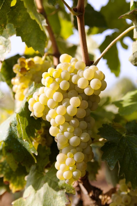 22 7 2016 15 06 12 15167079 M