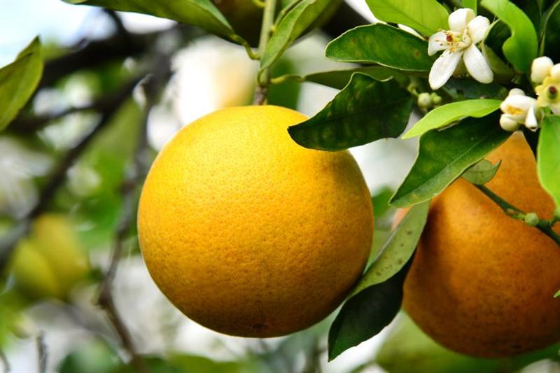 20 7 2016 16 24 31 Hp 01