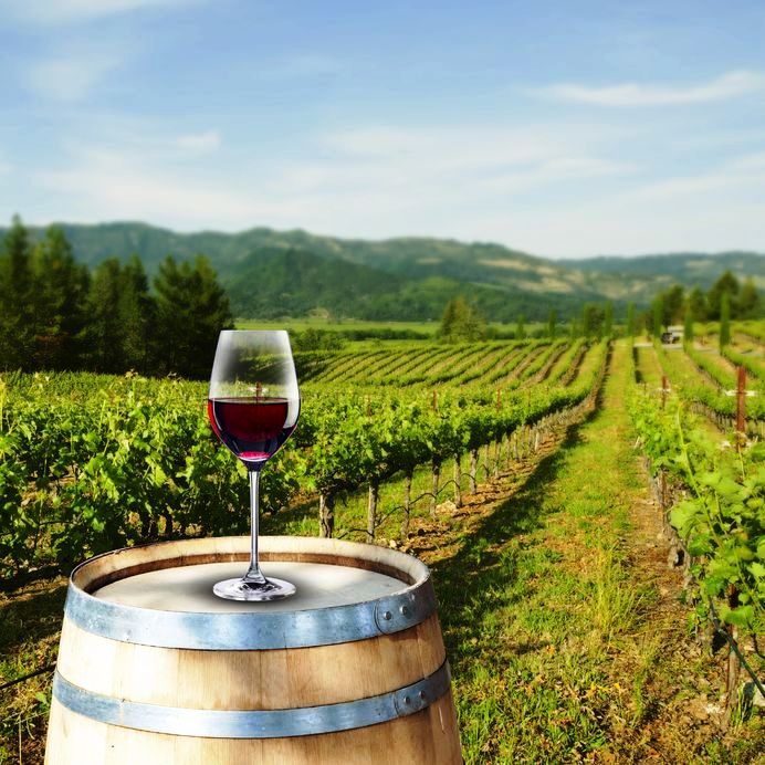 20 7 2016 10 48 08 Eg 05