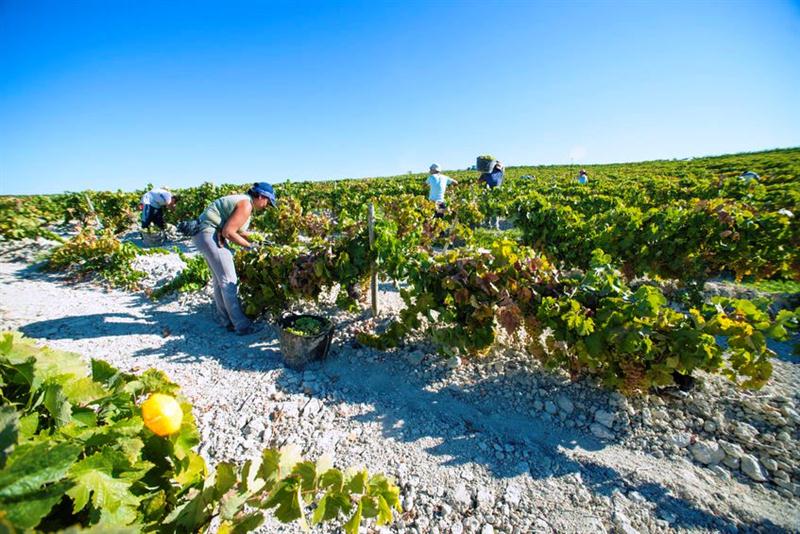 20 7 2016 16 23 22 Hp 02