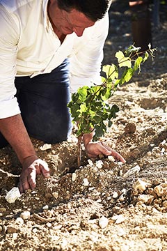 Champagne Jean-Noël Haton