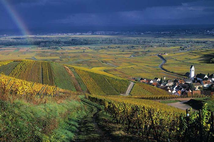 Kuehn, Ammerschwihr (sinds 1675)