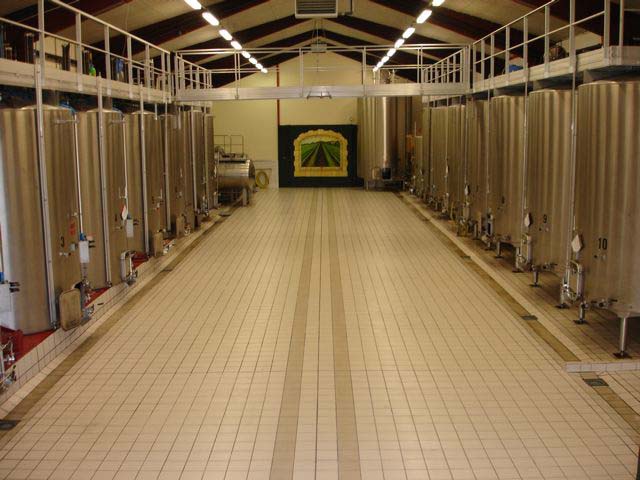 Domaine Taluau-Foltzenlogel, Bourgueil