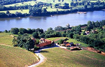 Domaine des Genaudières, Muscadet