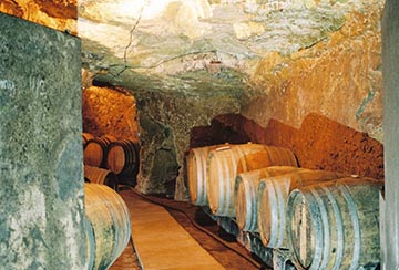 Domaine du Val Brun, Saumur Champigny  (Since 1726)