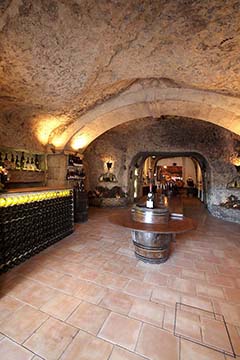 Domaine Buisse, Touraine