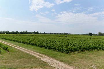 Château Lescalle, Macau - Margaux