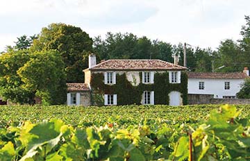 Clos Floridène, Graves, Denis Dubourdieu