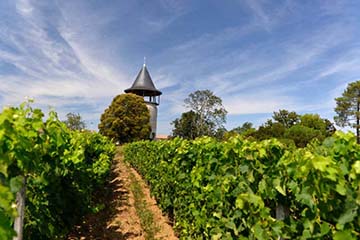 Clos de May, Haut-Médoc