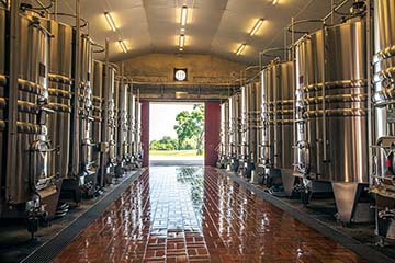 Château Petit Bocq , Saint-Estèphe