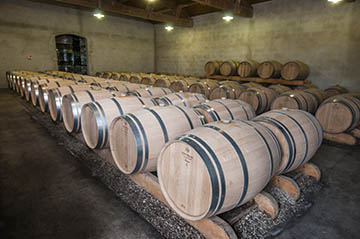 Château Graves de Pez, Saint-Estèphe