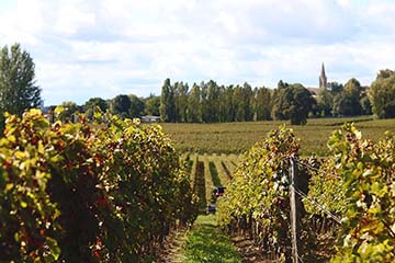 Clos Bel-Air, Montagne Saint-Emilion.