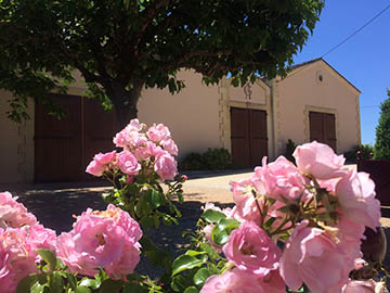 Château Franc-Maillet, Pomerol