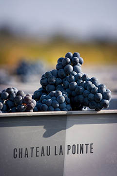 Château La Pointe, Pomerol AOP