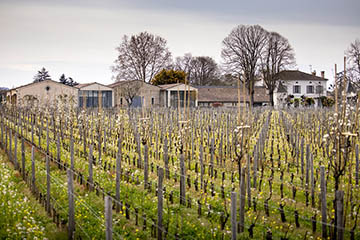 Château Quinault l’Enclos, Saint Émilion Grand Cru