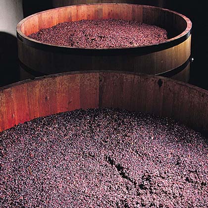 Bouchard Aîné & Fils, Bourgogne  (since 1750)